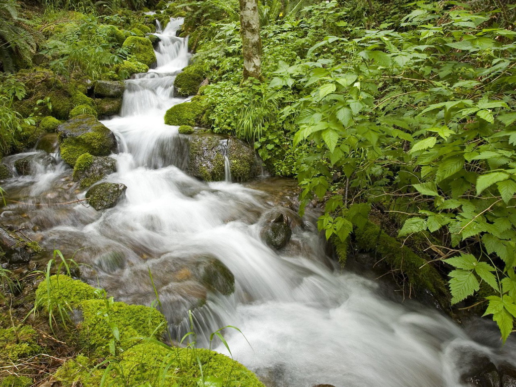 Маленький ручей