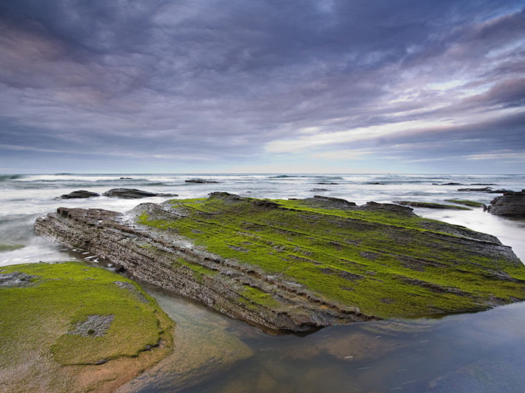 Камни у берега