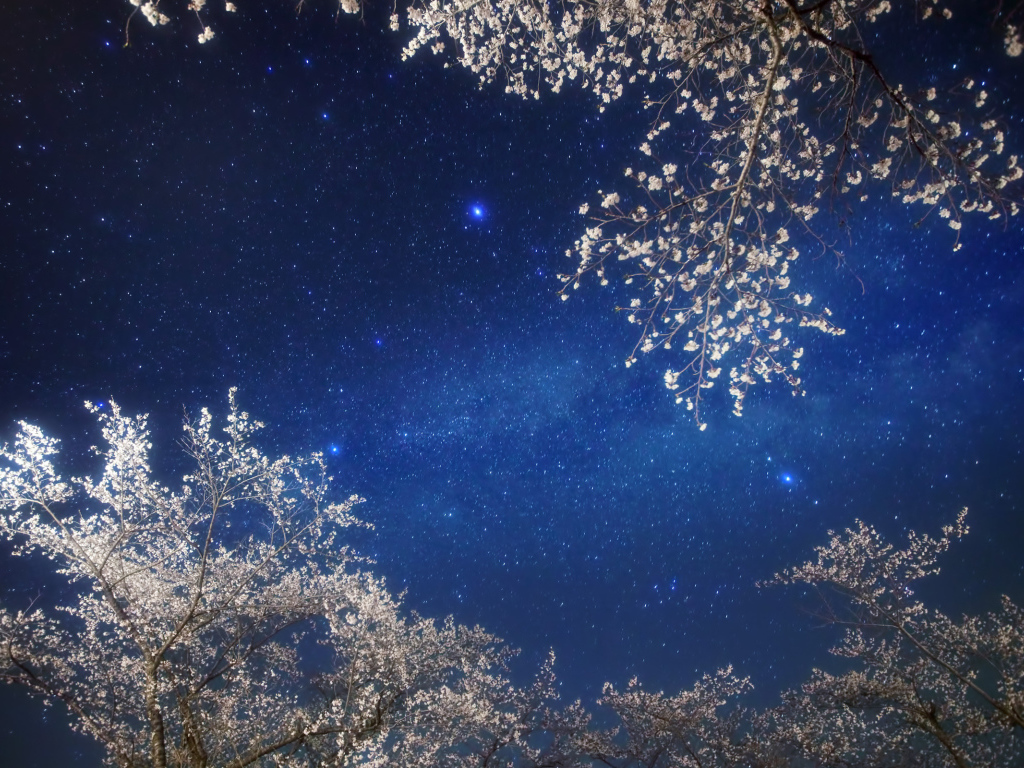 Млечный путь