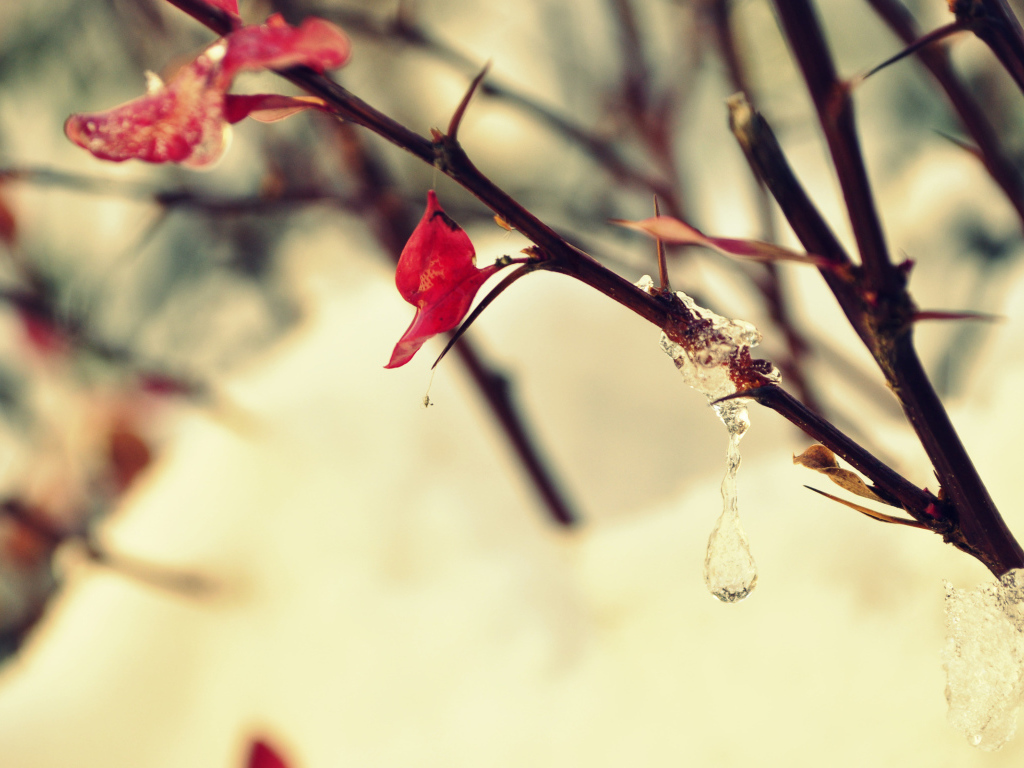 Замерзшая капля