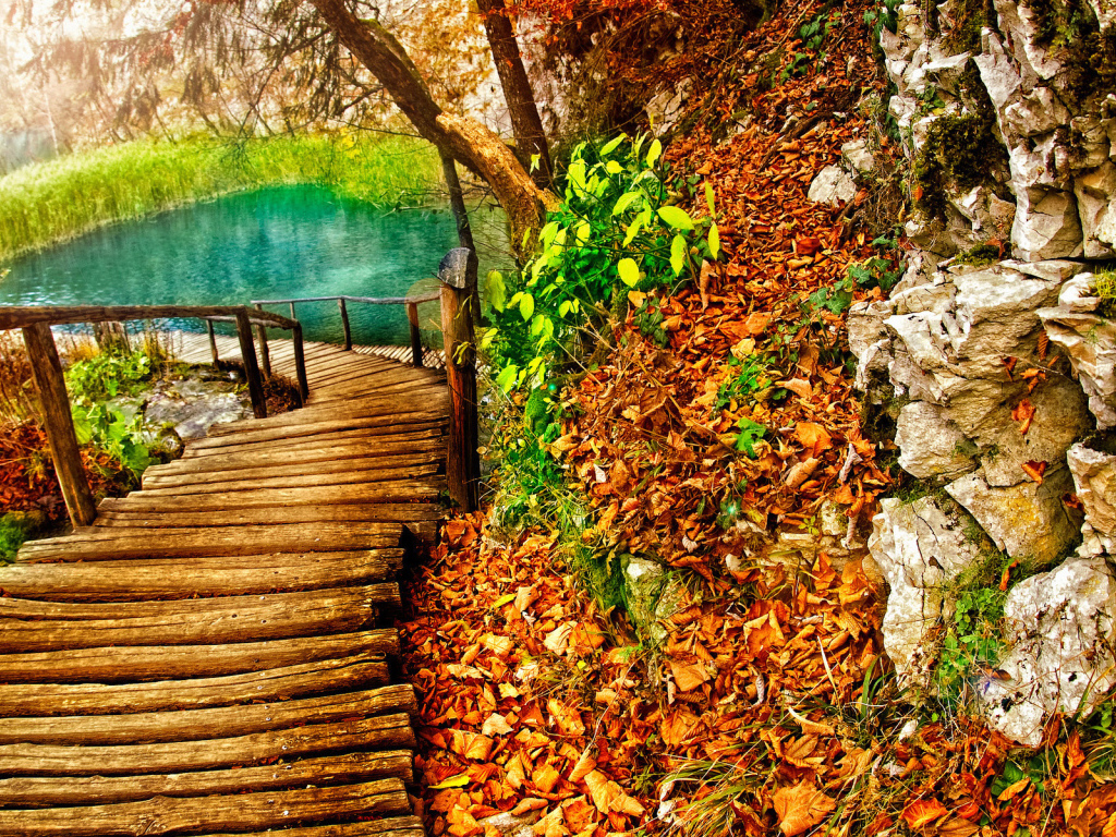 Дорожка к озеру