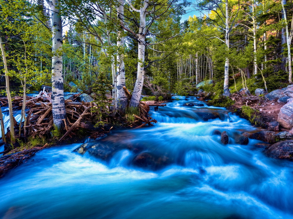 Речка в березах