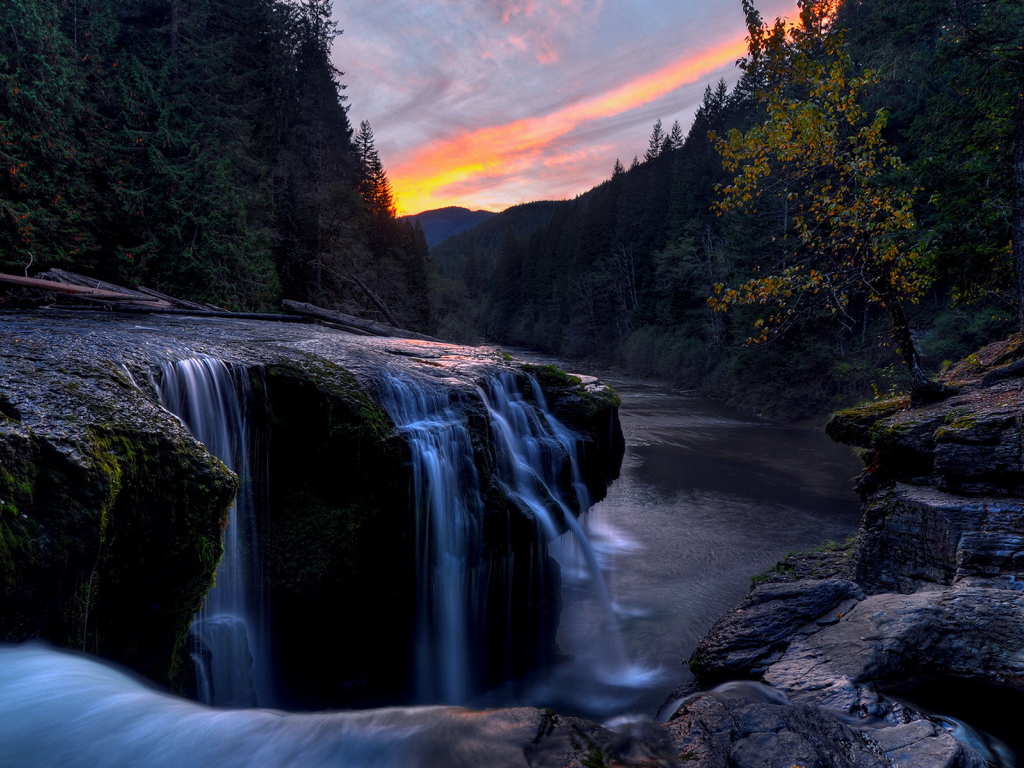 Речка в лесу