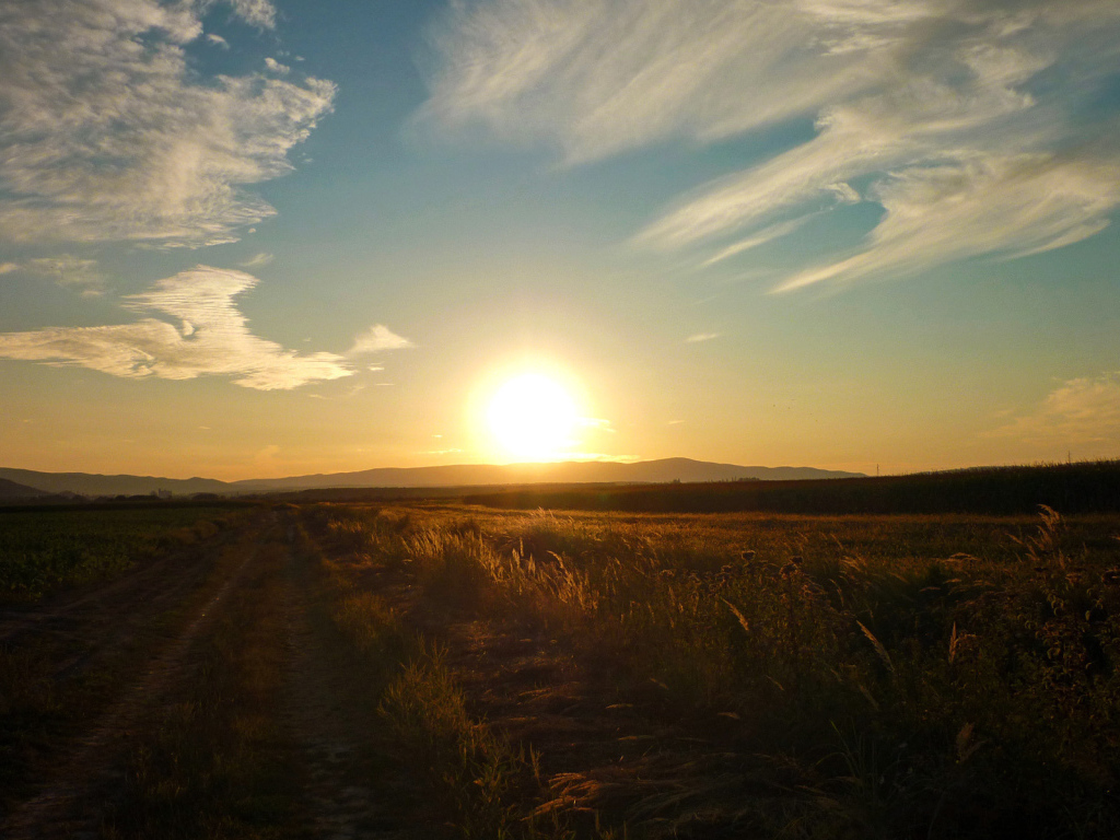 Закат в поле