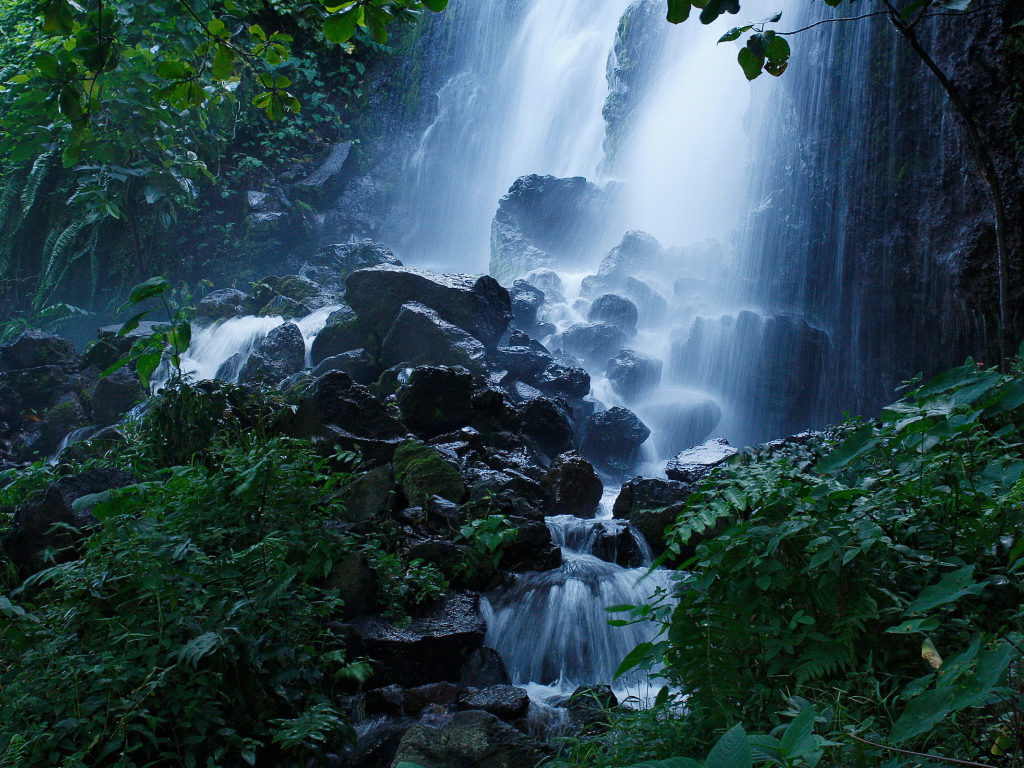 Лесной водопад
