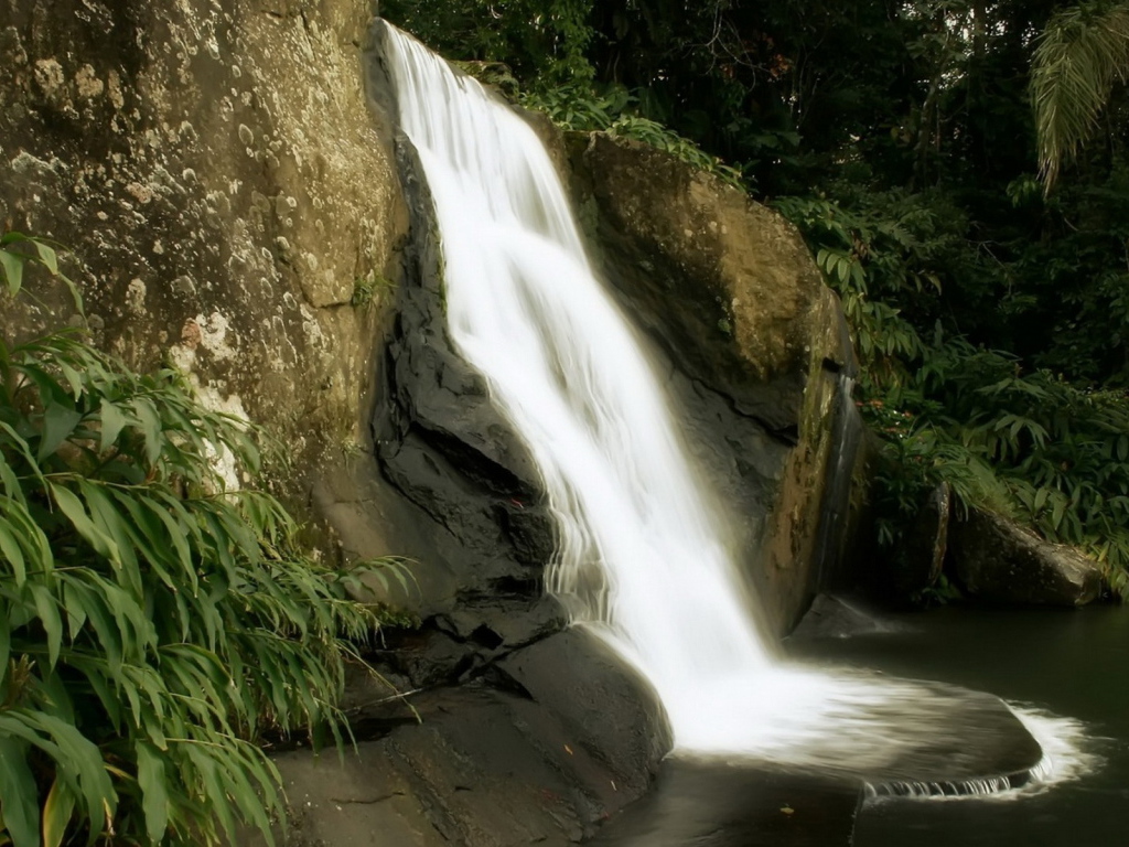 Маленький лесной водопад
