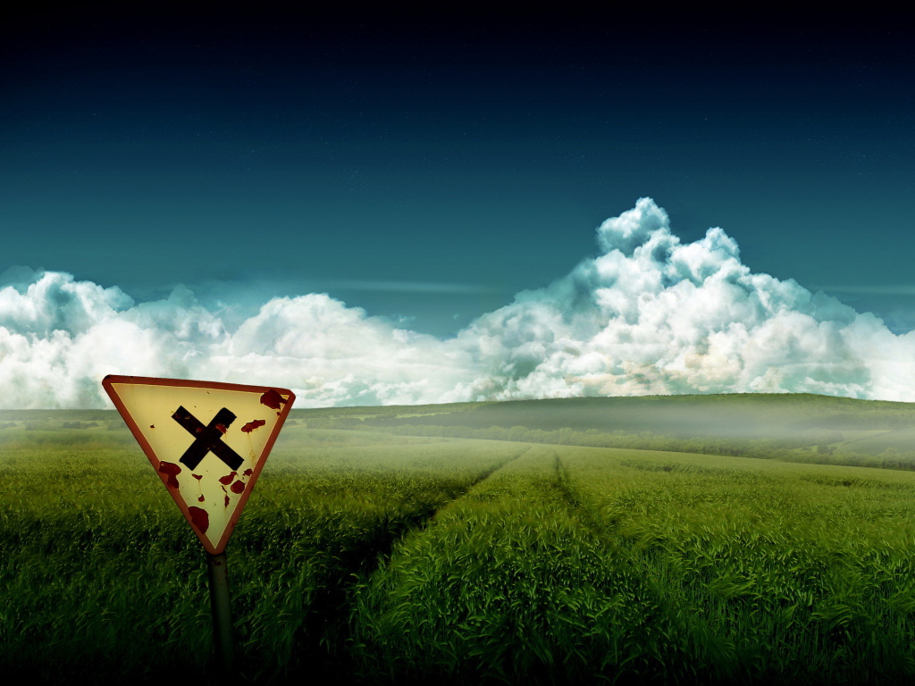 Зеленое поле