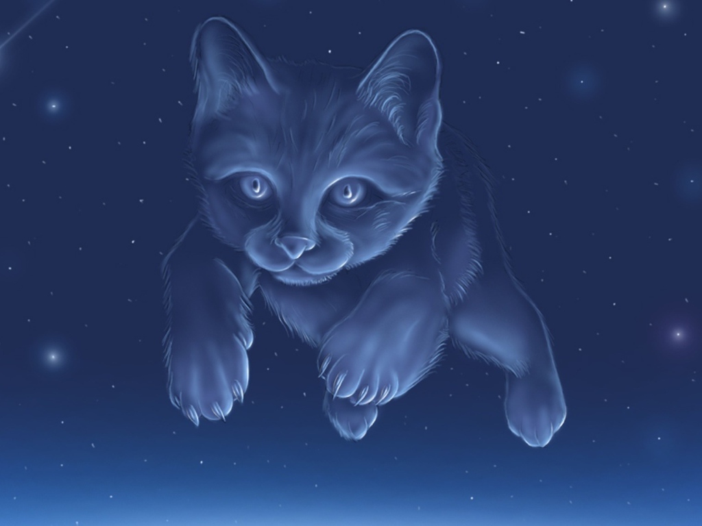 Созвездие кота