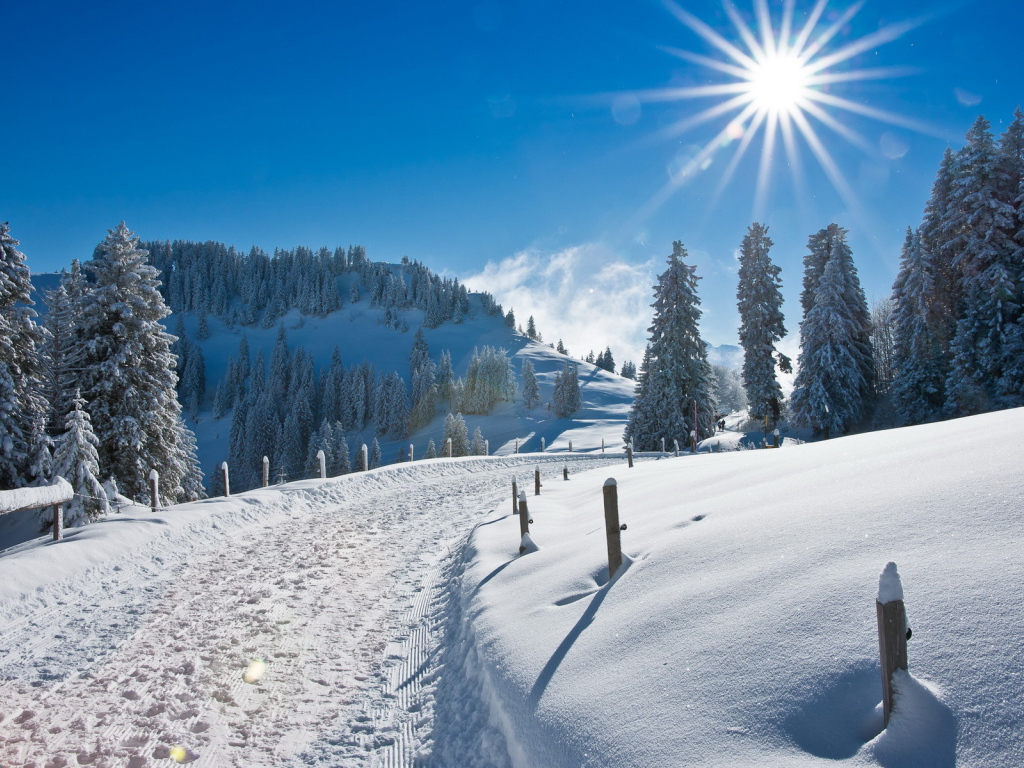 Зимняя дорога