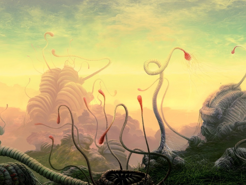 Сезон размножения