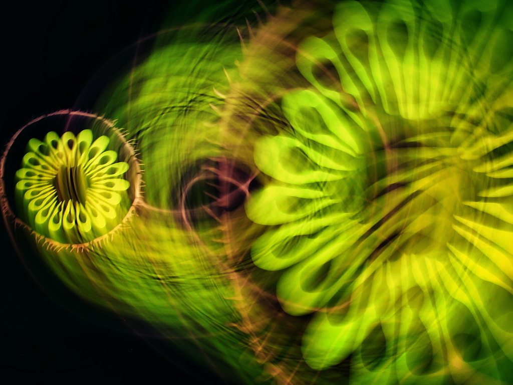 Зеленая абстракция