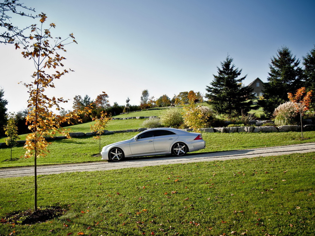 Mercedes Benz CLS на природе