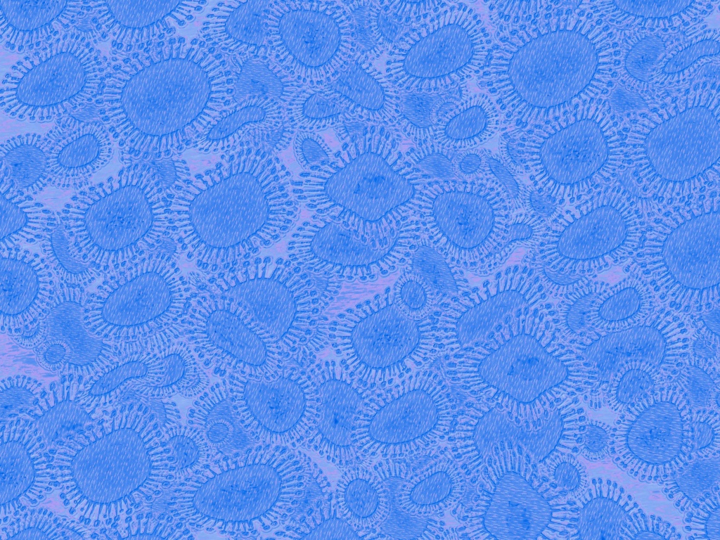 Вирусный фон