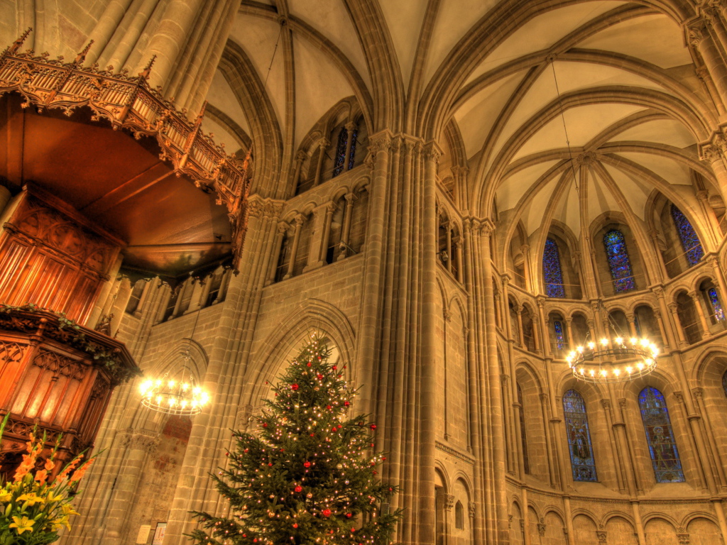 Елка в костёле