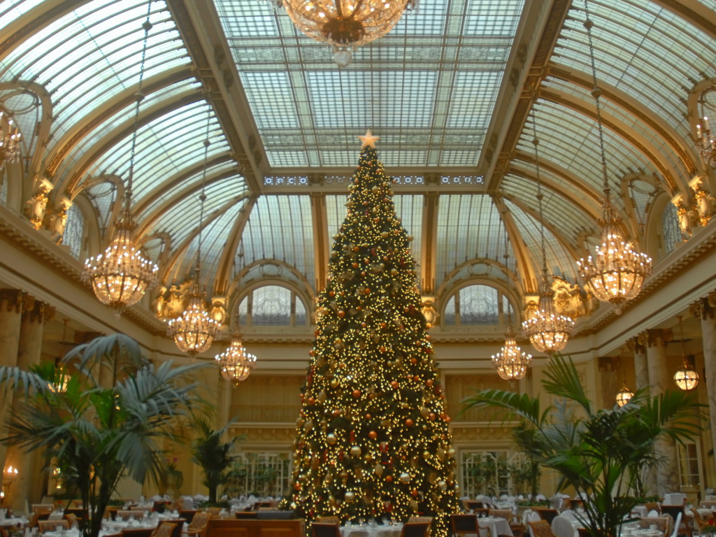 Новогодняя елка в зале