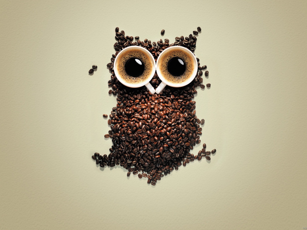 Сова из кофе