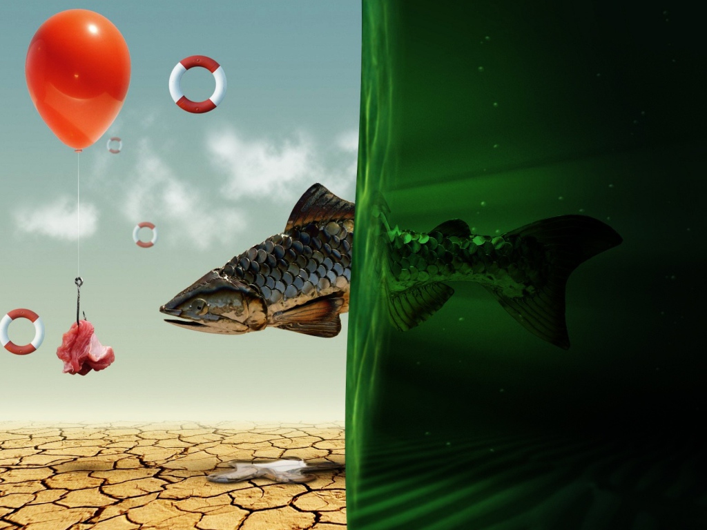 Рыбная мечта