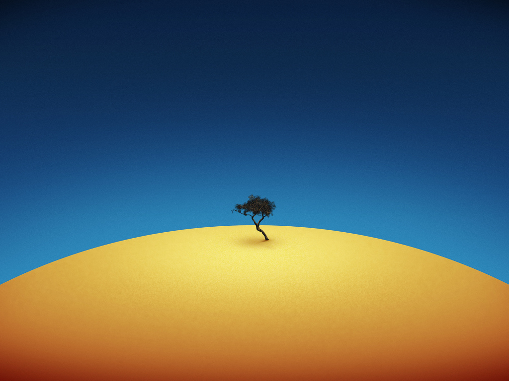 Одинокое дерево