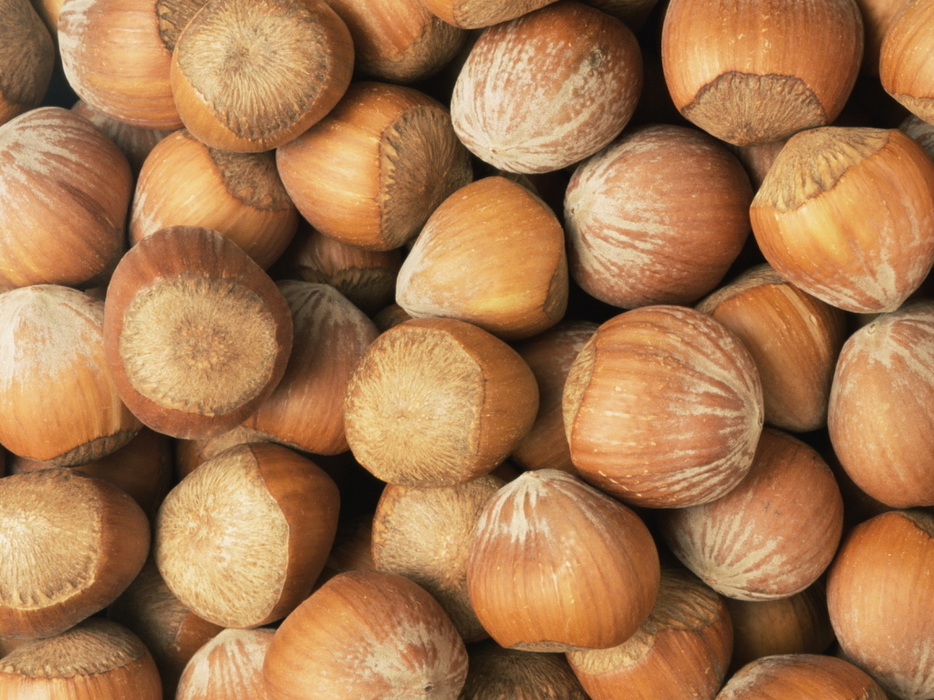 Лесные орехи