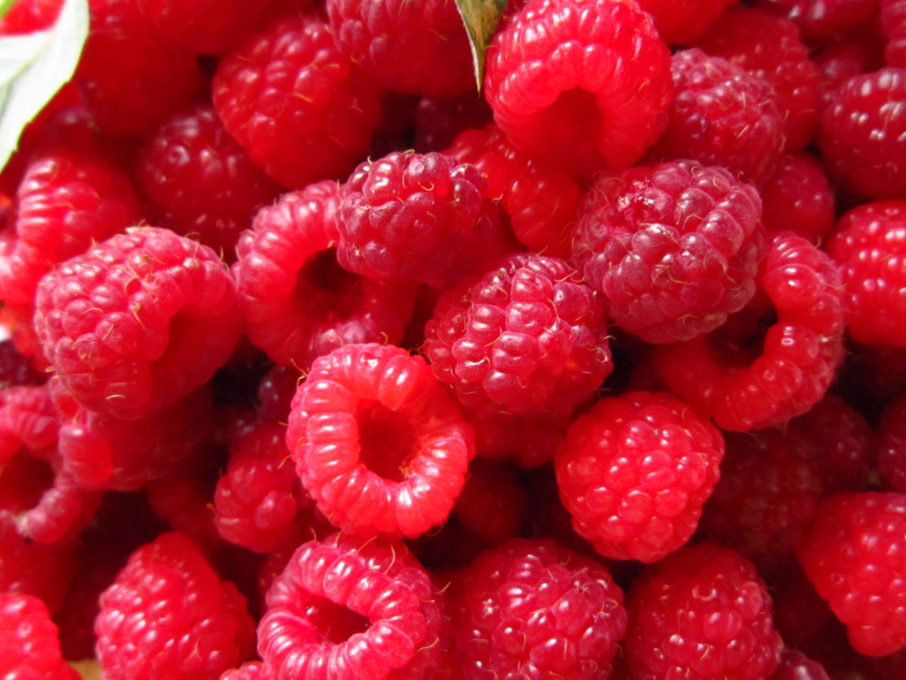 Спелая малина