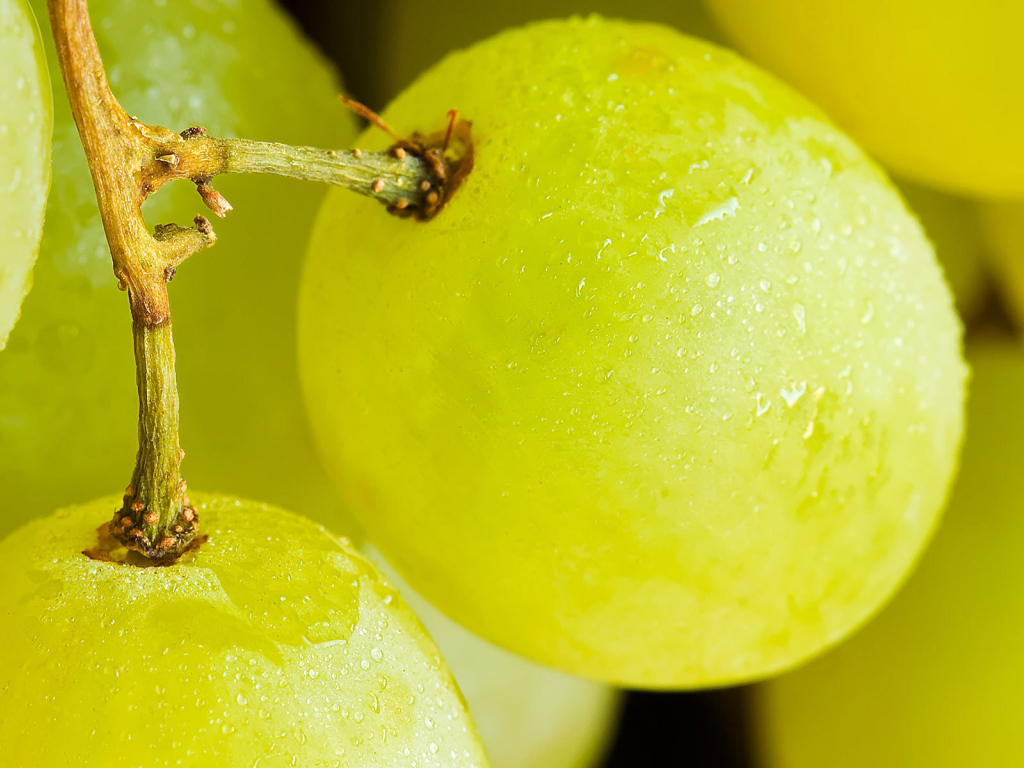 Желтый виноград