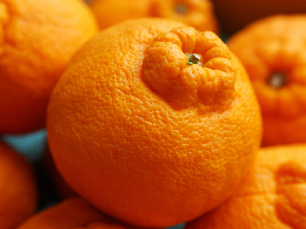 Россыпь мандаринов