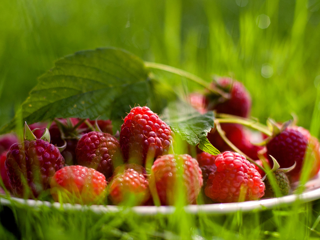 Тарелка Малины