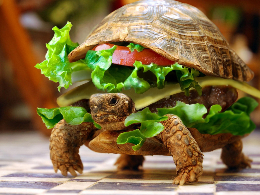 Вкусная черепаха