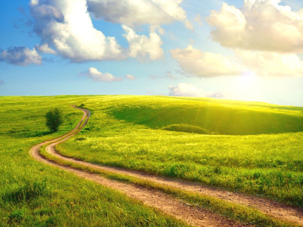 Солнечный день