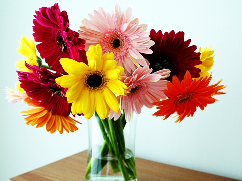Герберы в вазе