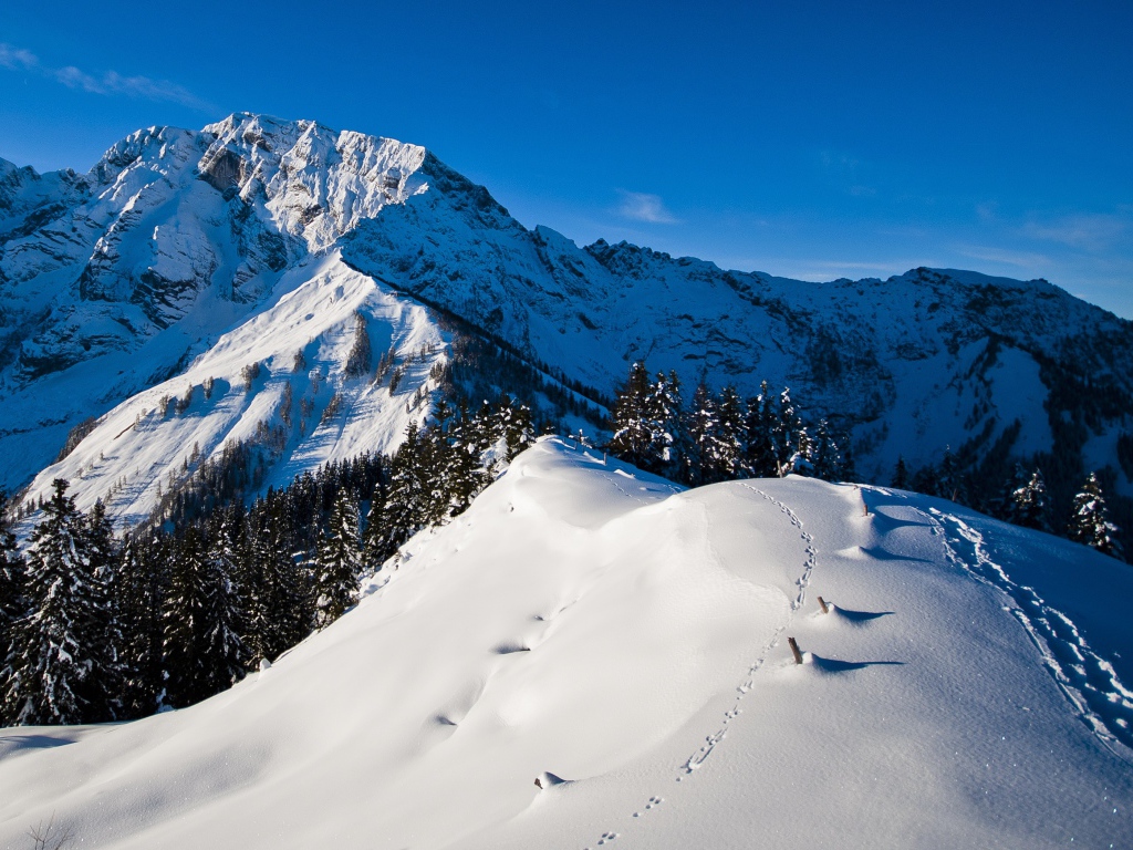 Утро в горах