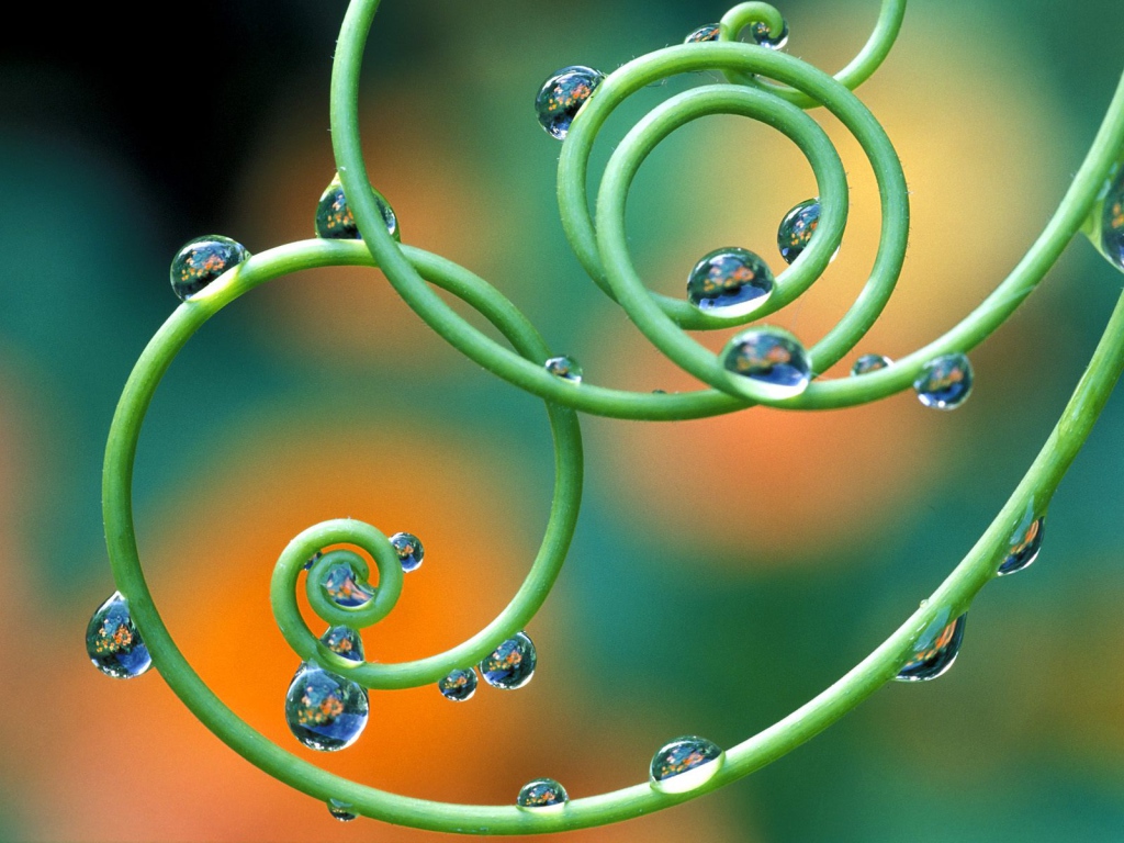 Капельки росы