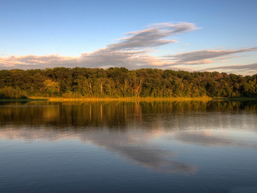 Озеро у леса