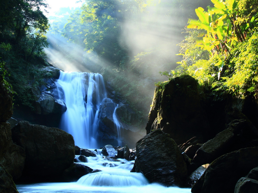 Речка в лесу