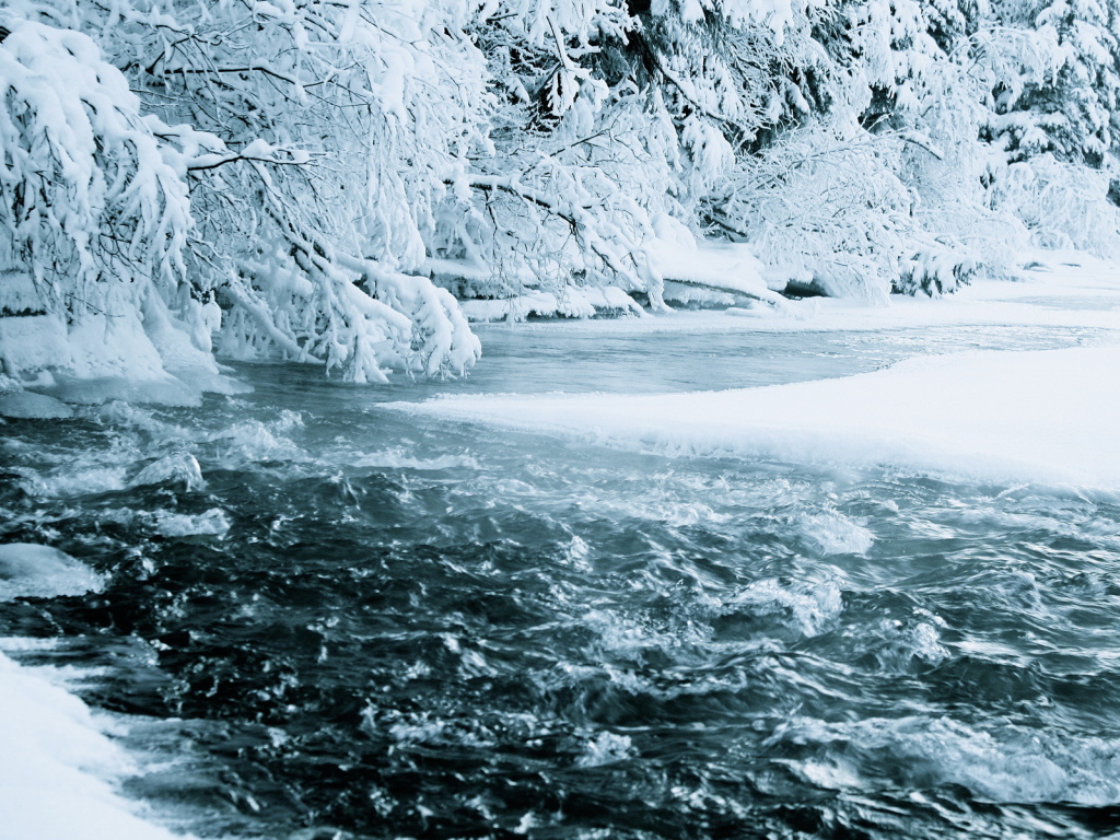 Зимняя река