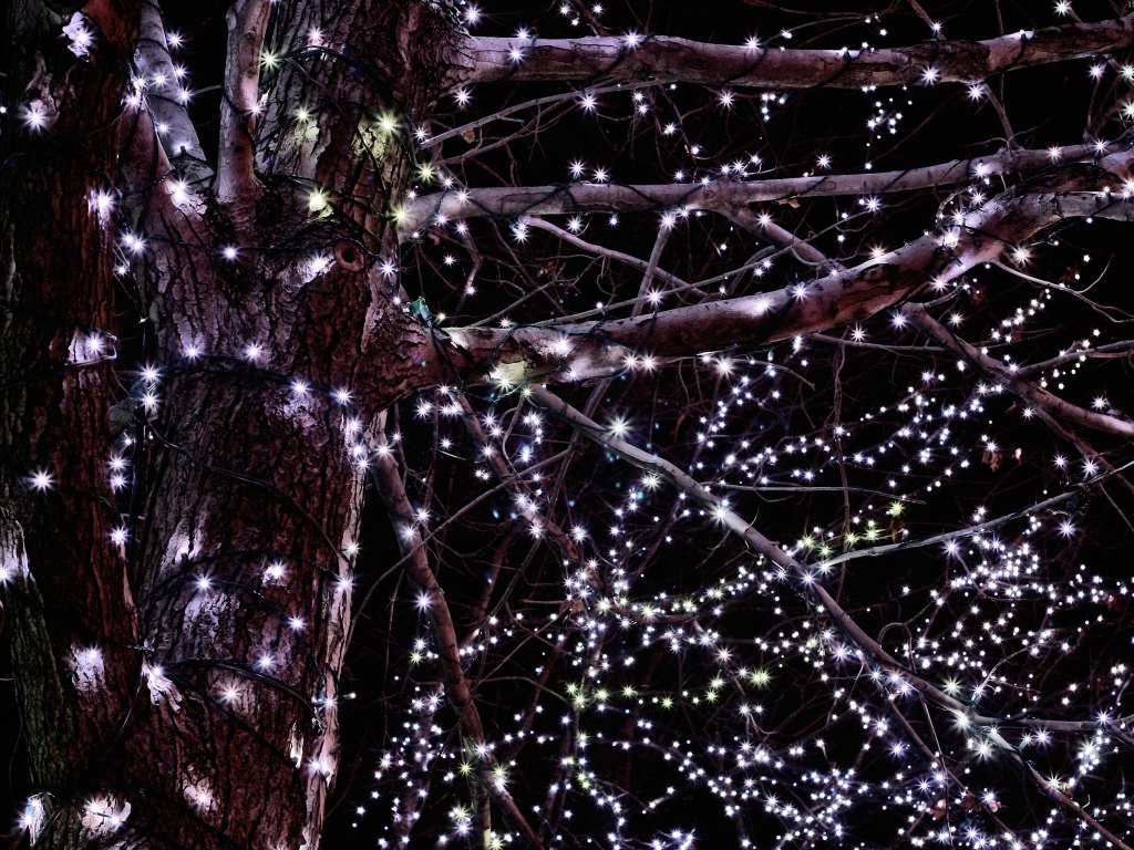 Гирлянды на дереве