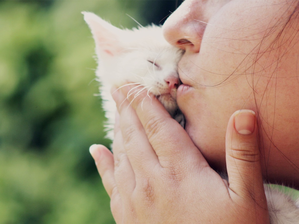 Маленький белый котеночек