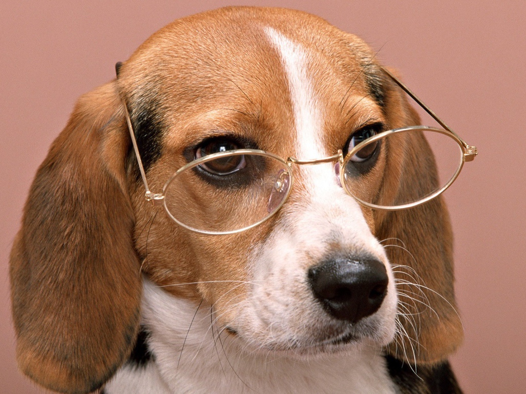 Собачий профессор