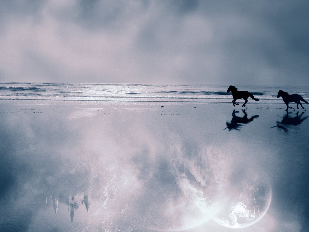 Мир лошадей