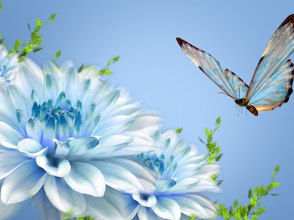 Бабочка над голубым цветком
