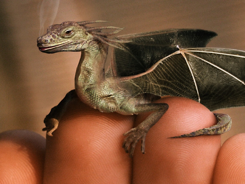 Дракон на пальцах