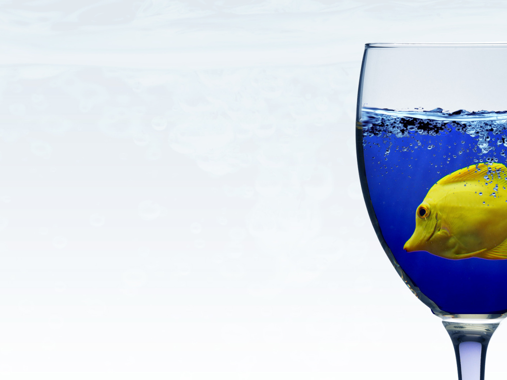 Рыба в бокале