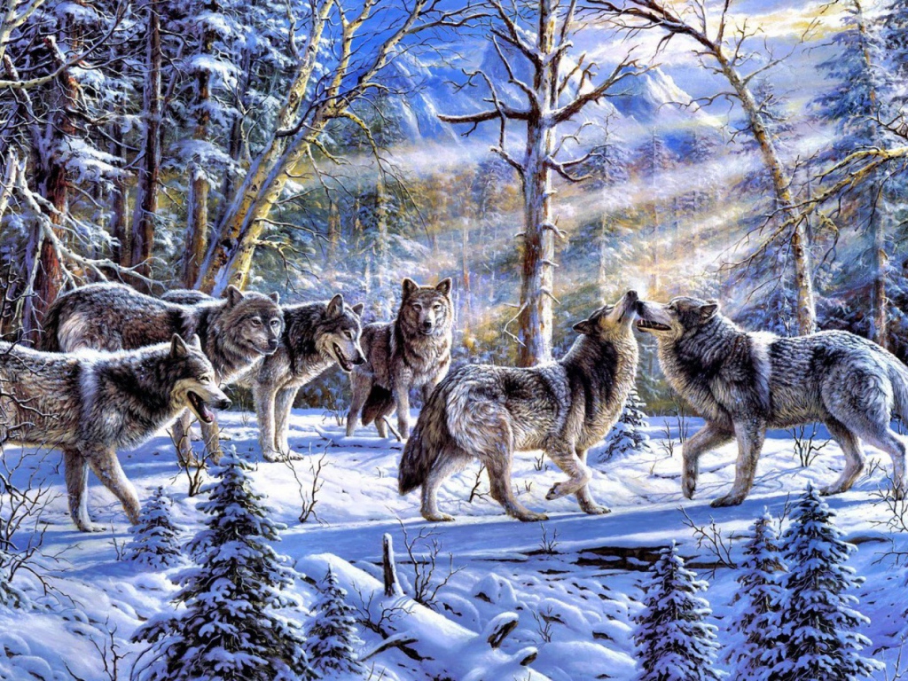 Стая волков на снегу