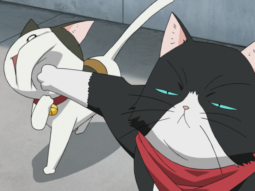 Кошачьи прихоти