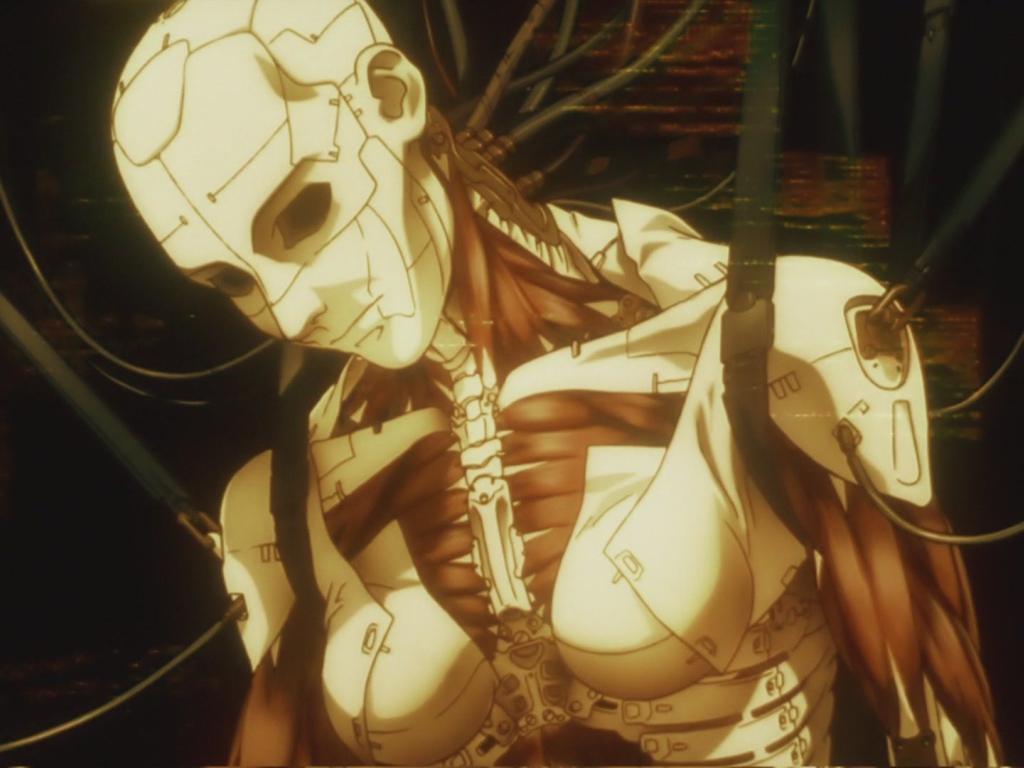 Аниматрица