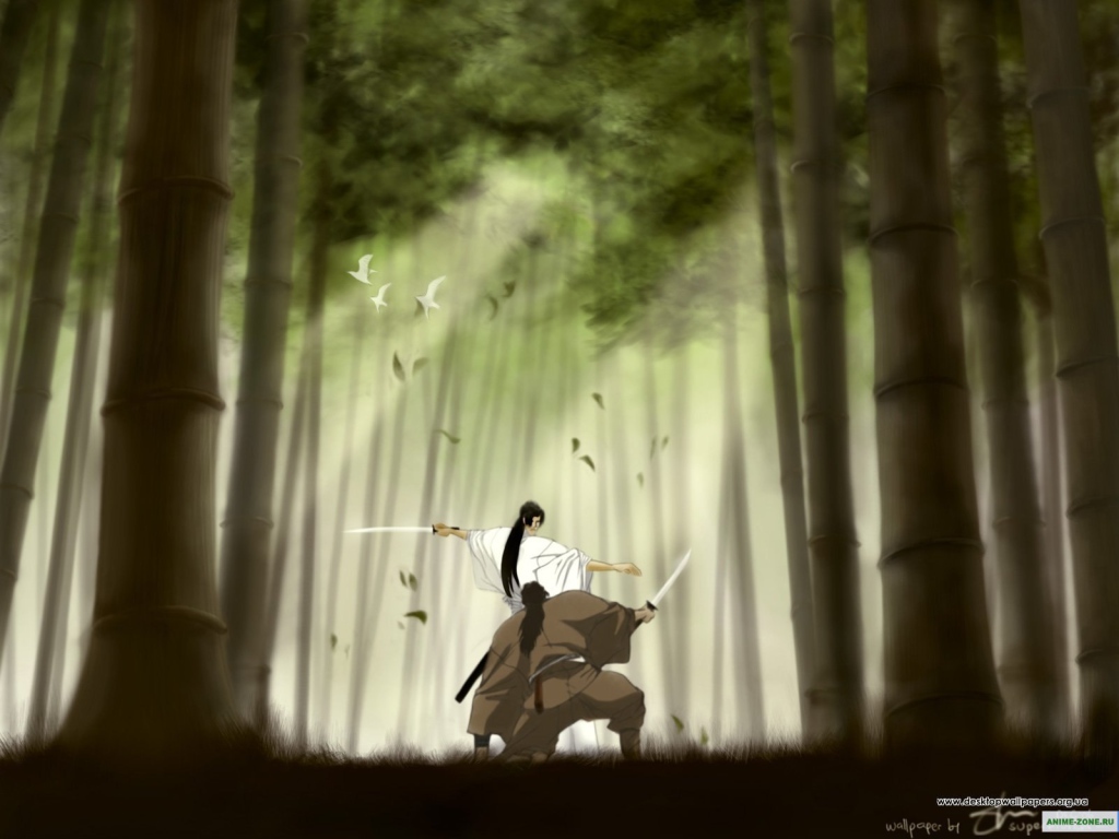 Манускрипт ниндзя