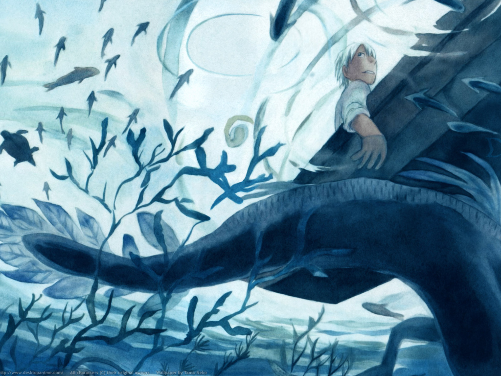 Мастер Муси