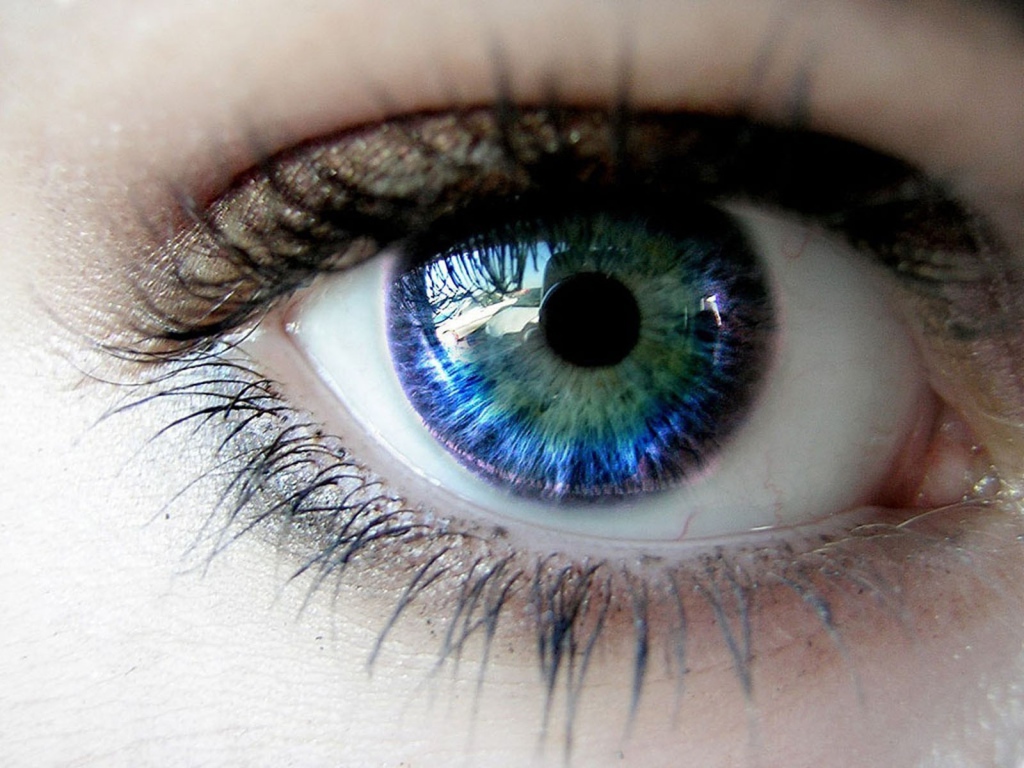 Голубой глаз с отражением