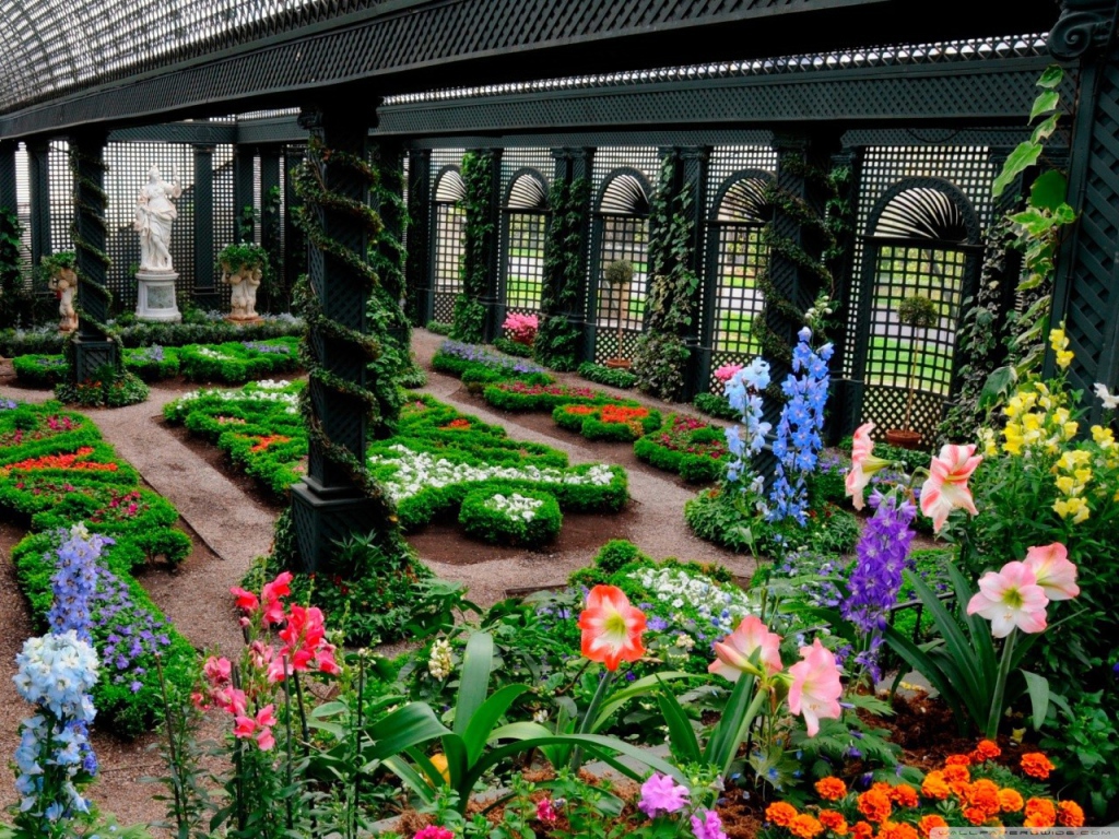 Зимний сад теплица