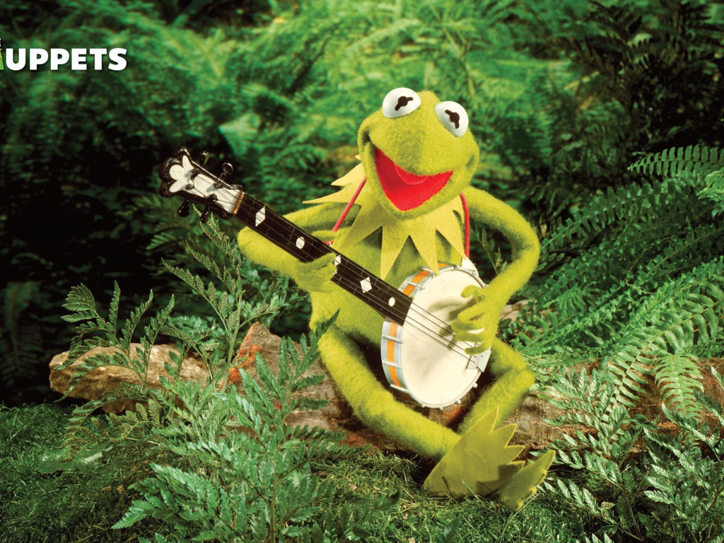 Лягушка с банджо